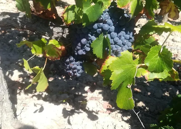 Nyaraló Aux Capitelles De